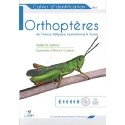 Cahier d'identification des Orthoptères