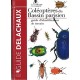 Coléoptère du Bassin Parisien
