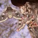 Saturnia pavonia (Papillon Petit Paon-de-nuit)