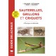 Guide des Sauterelles, grillons et criquets