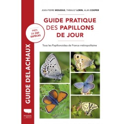 Guide pratiques des papillons de jour