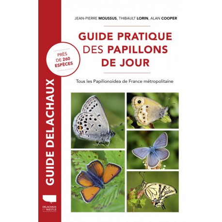 Guide pratiques des papillons de jour