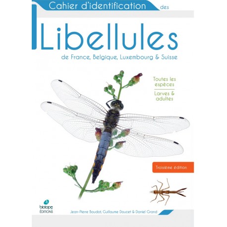 Cahier d'identification des Libellules
