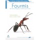 Cahier d'identification des Libellules