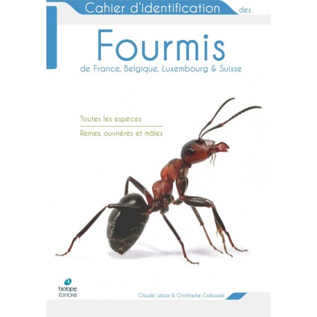 Cahier d'identification des Libellules